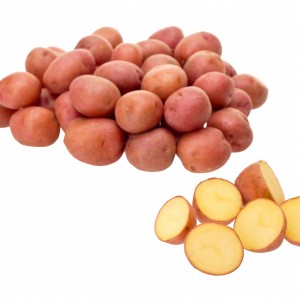 Little red potatoes sliced on pure white background