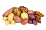 Valley-Spuds-Potato-Varieties